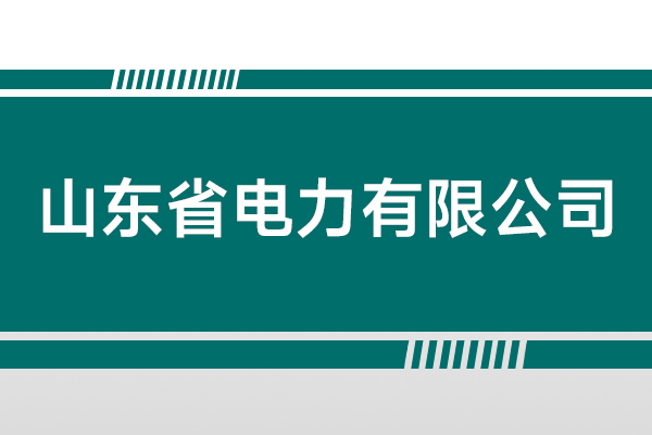 山東省電力有限公司