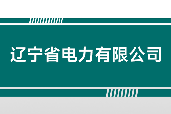 遼寧省電力有限公司